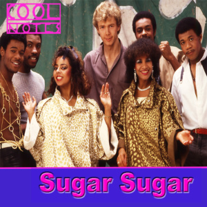 The Cool-Notes – Sugar Sugar (CD)