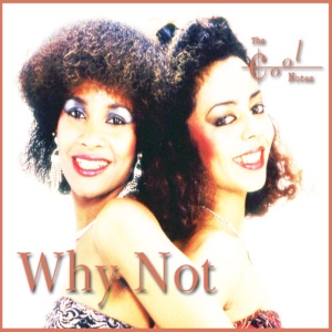 Why Not – Single – Remix