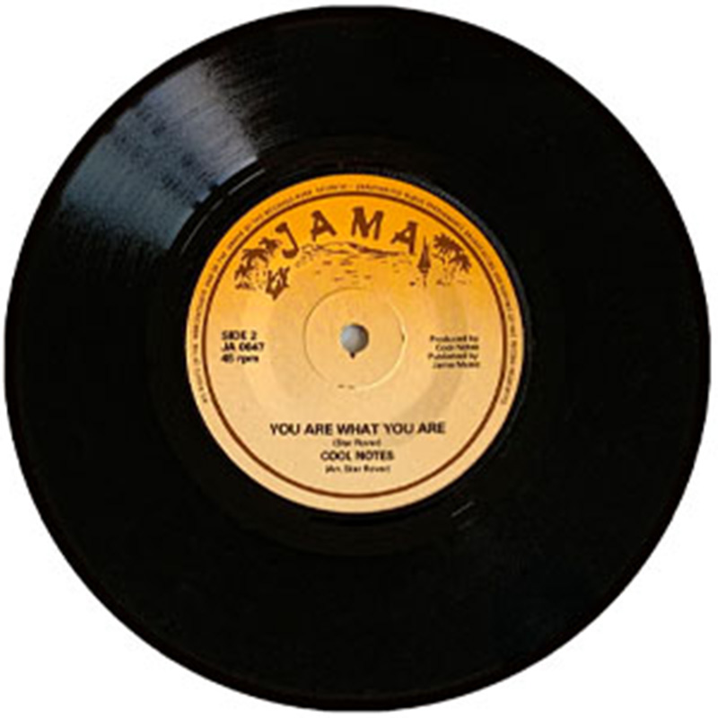 The Cool-Notes - My Tune b/w You Are What You Are (7" Vinyl) - Image 2
