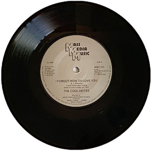 I Forgot How To Love You   b/w  Why Can’t We Be Friends (7″ Vinyl)