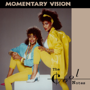 The Cool-Notes – Momentary Vision (CD)